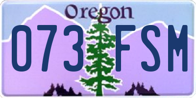 OR license plate 073FSM