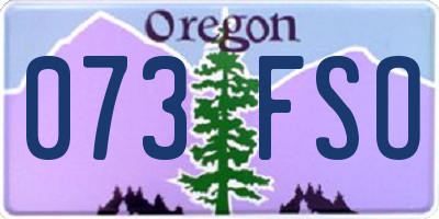 OR license plate 073FSO