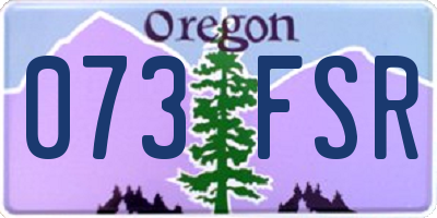 OR license plate 073FSR
