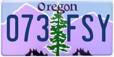 OR license plate 073FSY