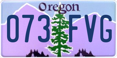 OR license plate 073FVG