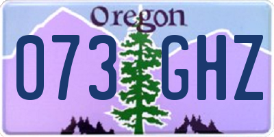 OR license plate 073GHZ