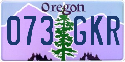 OR license plate 073GKR