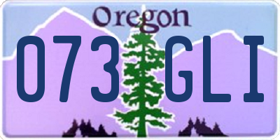 OR license plate 073GLI