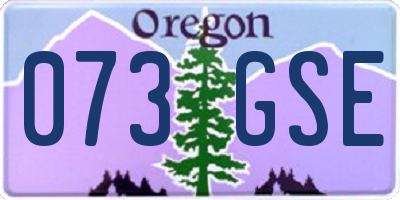 OR license plate 073GSE