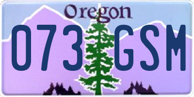 OR license plate 073GSM
