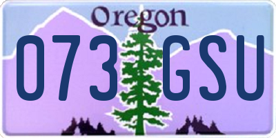 OR license plate 073GSU