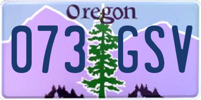 OR license plate 073GSV