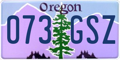 OR license plate 073GSZ