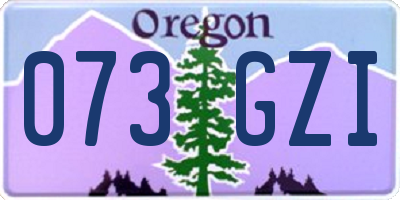 OR license plate 073GZI