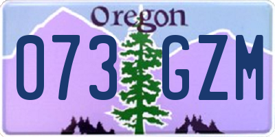 OR license plate 073GZM