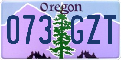 OR license plate 073GZT