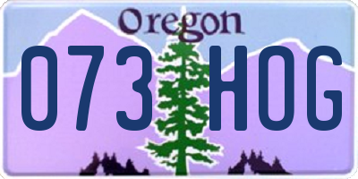 OR license plate 073HOG