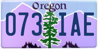 OR license plate 073IAE