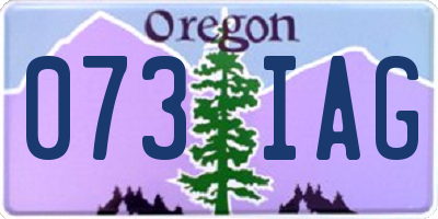 OR license plate 073IAG