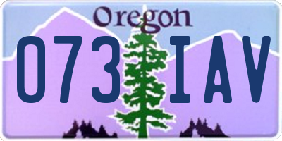 OR license plate 073IAV