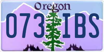 OR license plate 073IBS