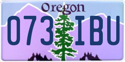 OR license plate 073IBU