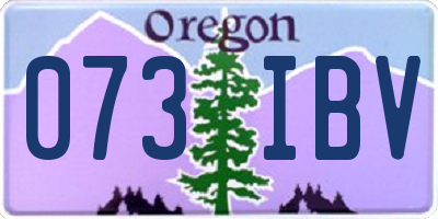 OR license plate 073IBV
