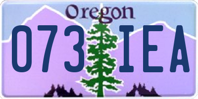 OR license plate 073IEA