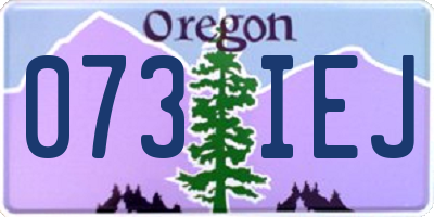 OR license plate 073IEJ