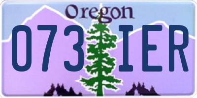 OR license plate 073IER