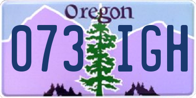 OR license plate 073IGH
