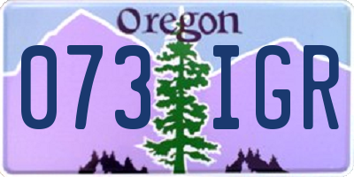 OR license plate 073IGR