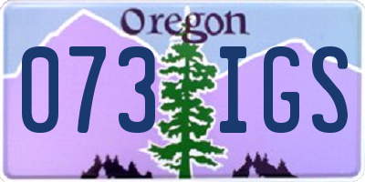 OR license plate 073IGS