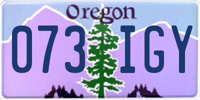 OR license plate 073IGY