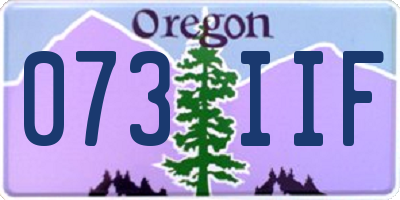 OR license plate 073IIF