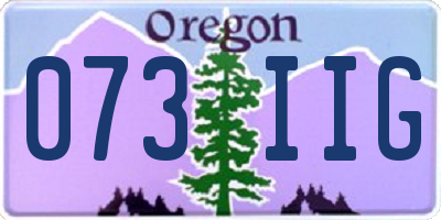 OR license plate 073IIG