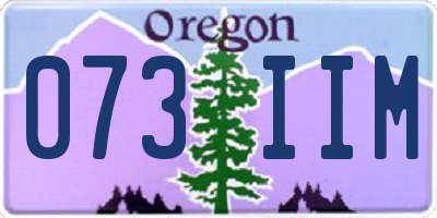 OR license plate 073IIM
