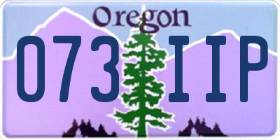 OR license plate 073IIP