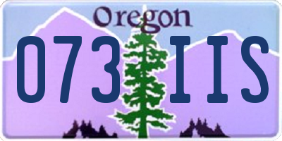 OR license plate 073IIS