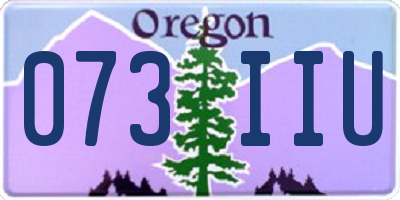 OR license plate 073IIU