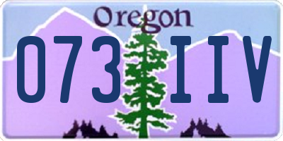 OR license plate 073IIV