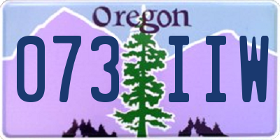 OR license plate 073IIW
