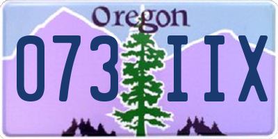 OR license plate 073IIX