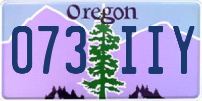 OR license plate 073IIY