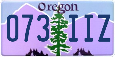 OR license plate 073IIZ