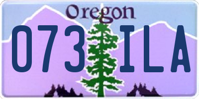 OR license plate 073ILA