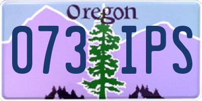 OR license plate 073IPS