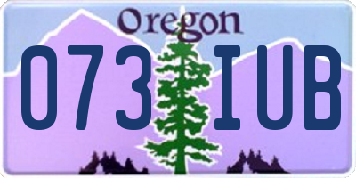 OR license plate 073IUB