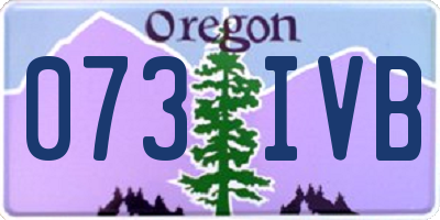 OR license plate 073IVB