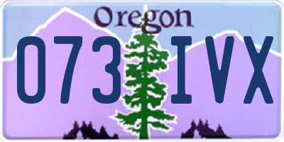 OR license plate 073IVX