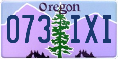 OR license plate 073IXI