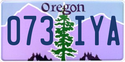 OR license plate 073IYA