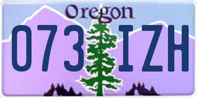 OR license plate 073IZH
