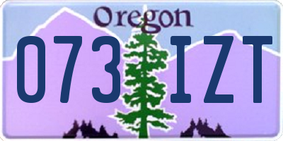 OR license plate 073IZT